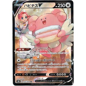 画像: 【CSR】ハピナスV