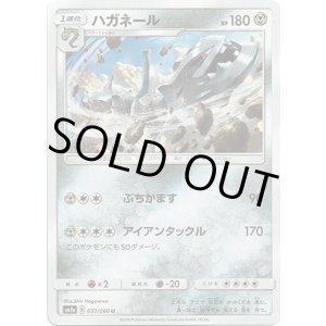 画像: ハガネール
