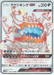 画像1: ※傷有り品（返品交換対象外）【SSR】アクジキングGX