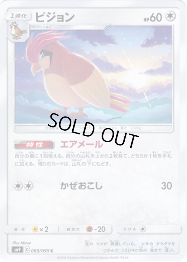 画像1: ピジョン