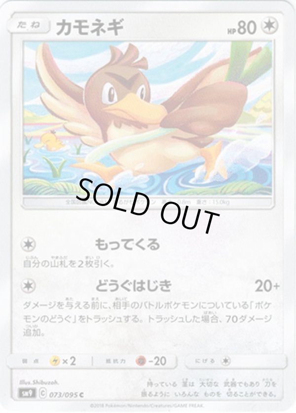 画像1: カモネギ