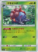 画像: クサイハナ