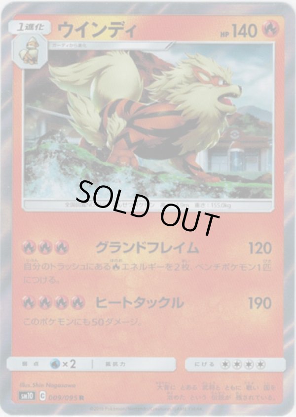 画像1: ウインディ