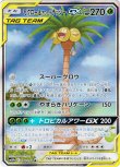 画像1: ※傷有り品（返品交換対象外）【絵違いSR】モクロー＆アローラナッシーGX