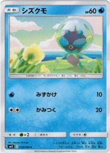 画像: シズクモ