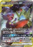画像1: ※傷有り品（返品交換対象外）【絵違いSR】メガヤミラミ＆バンギラス