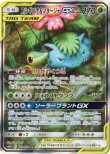 画像1: ※傷有り品（返品交換対象外）【絵違いSR】フシギバナ＆ツタージャGX