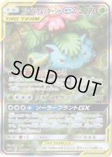 画像: 【絵違いSR】フシギバナ＆ツタージャGX