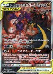 画像1: ※傷有り品（返品交換対象外）【絵違いSR】アーゴヨン＆アクジキングGX