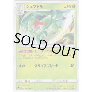 画像: 【ミラー】ジュプトル