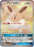 画像1: ※傷有り品（返品交換対象外）【絵違いSR】イーブイGX