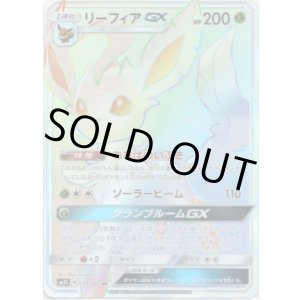 画像: ※傷有り品（返品交換対象外）【HR】リーフィアGX