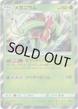 画像: メガニウム