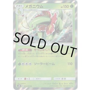 画像: メガニウム