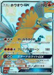 画像1: ※傷有り品（返品交換対象外）【SSR】ホウオウGX