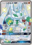 画像1: ※傷有り品（返品交換対象外）【SSR】ジガルデGX