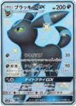 画像1: ※傷有り品（返品交換対象外）【SSR】ブラッキーGX