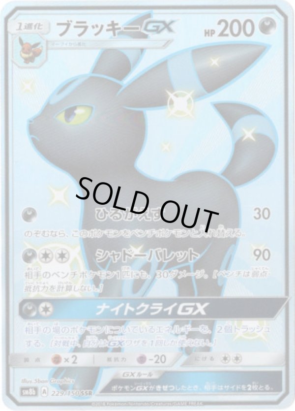 画像1: 【SSR】ブラッキーGX