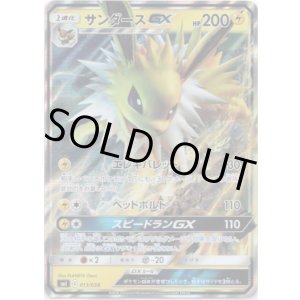 画像: サンダースGX