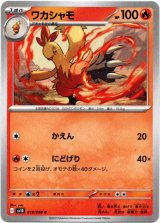画像: ワカシャモ