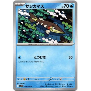 画像: サシカマス
