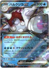 画像: ハルクジラex