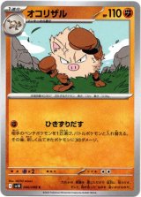 画像: オコリザル