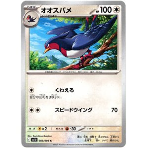 画像: オオスバメ
