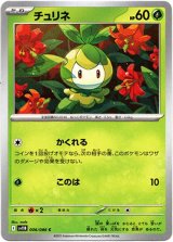 画像: チュリネ