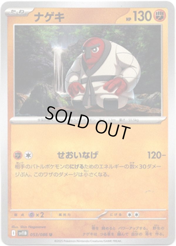 画像1: 【マスターボールミラー】ナゲキ