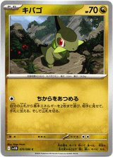 画像: 【マスターボールミラー】キバゴ