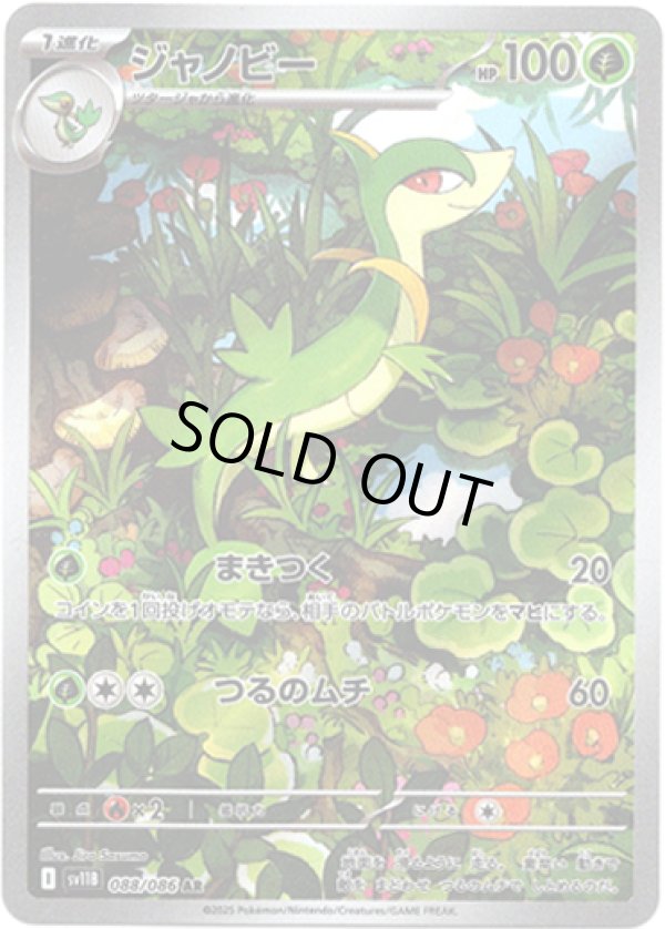 画像1: ※傷有り品（返品交換対象外）【AR】ジャノビー