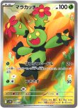 画像1: ※傷有り品（返品交換対象外）【AR】マラカッチ
