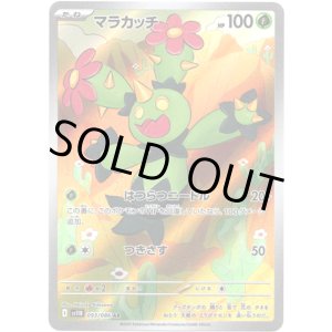 画像: ※傷有り品（返品交換対象外）【AR】マラカッチ