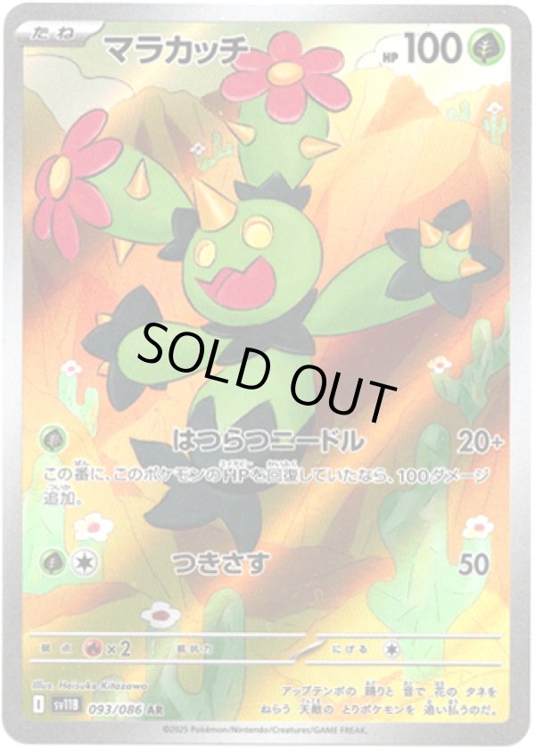 画像1: ※傷有り品（返品交換対象外）【AR】マラカッチ