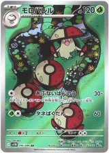 画像: ※傷有り品（返品交換対象外）【AR】モロバレル