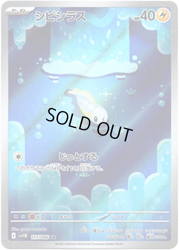 画像1: ※傷有り品（返品交換対象外）【AR】シビシラス