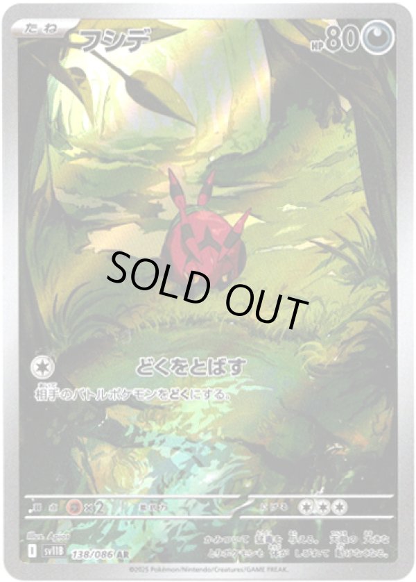 画像1: ※傷有り品（返品交換対象外）【AR】フシデ