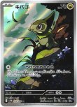 画像1: ※傷有り品（返品交換対象外）【AR】キバゴ
