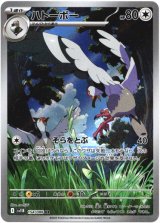 画像: ※傷有り品（返品交換対象外）【AR】ハトーボー