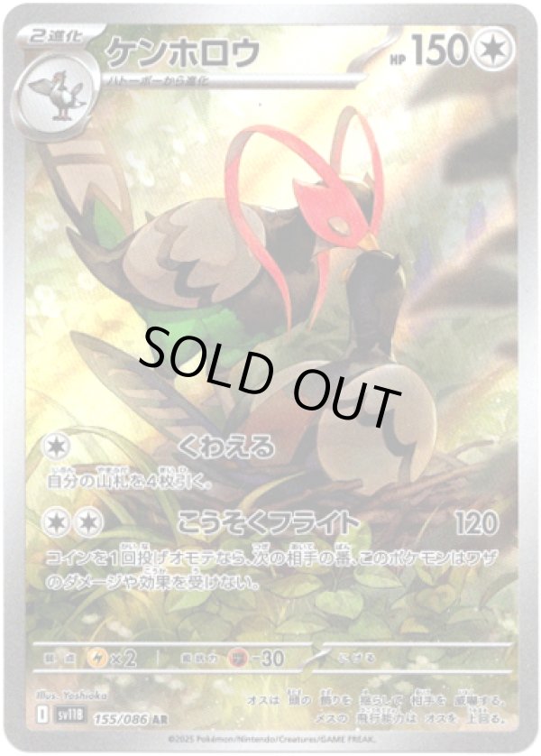 画像1: ※傷有り品（返品交換対象外）【AR】ケンホロウ