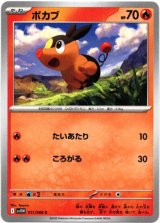 画像: ポカブ