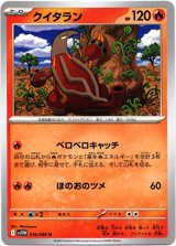 画像: クイタラン