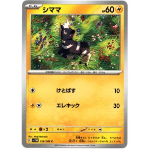画像: シママ