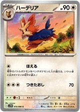 画像: ハーデリア