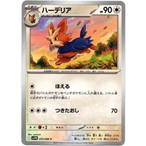 画像: ハーデリア