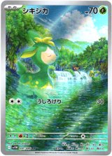 画像: 【AR】シキジカ