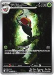 画像1: ※傷有り品（返品交換対象外）【AR】アギルダー