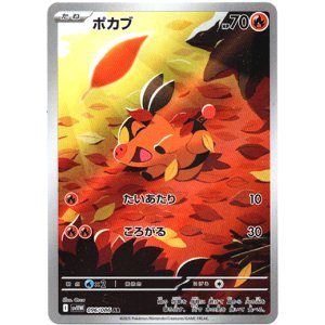 画像: ※傷有り品（返品交換対象外）【AR】ポカブ