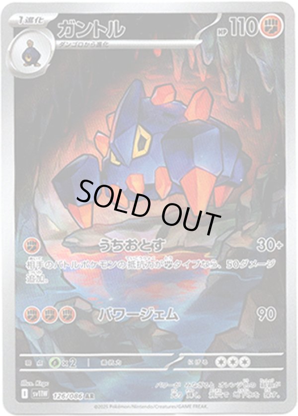 画像1: ※傷有り品（返品交換対象外）【AR】ガントル